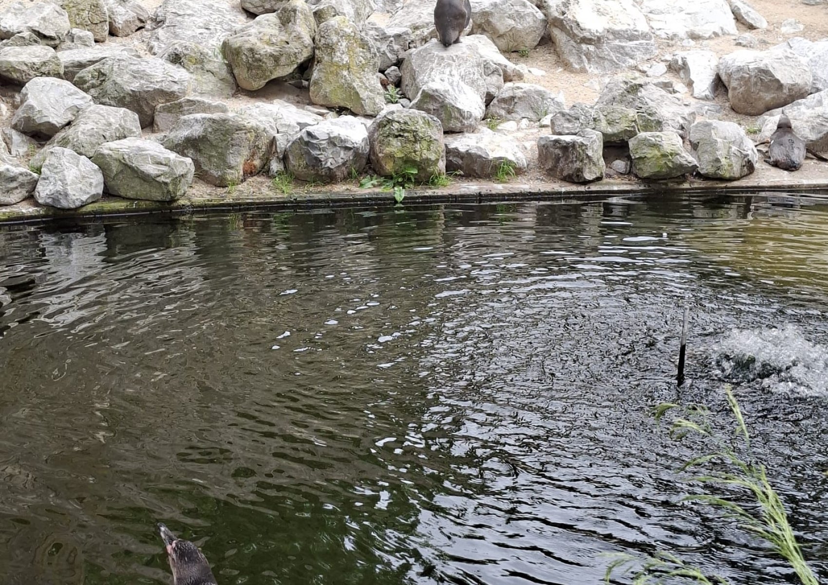 image 76